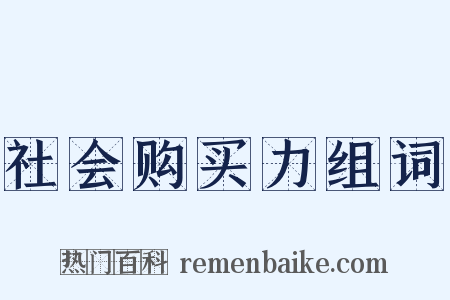 社会购买力组词是什么意思的图片